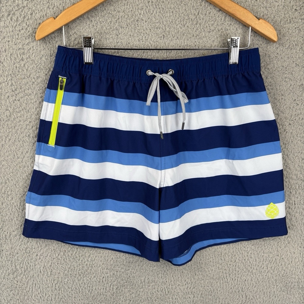 Stio‎ CFS Board Shorts Mens Medium 5" Inseam Blue Striped Unlined Drawstring